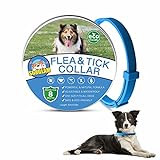 LORDDDON Flea and Tick Collar for Cats and Small Dogs One Size Fits All with Adjustable Design Prevention and Advanced Natural Cat Flea and Tick Control 