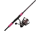 PENN Passion Spinning Reel and Fishing Rod Combo